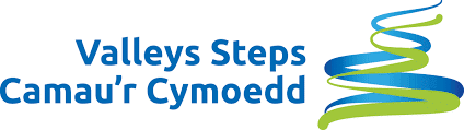 Valleys Steps logo